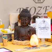 SNOPM - Festival Zen 2016 --